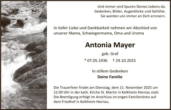 Traueranzeige von Antonia Mayer von FNP